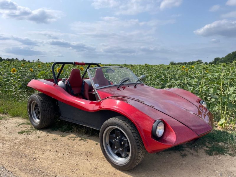 RENEGADE Buggy