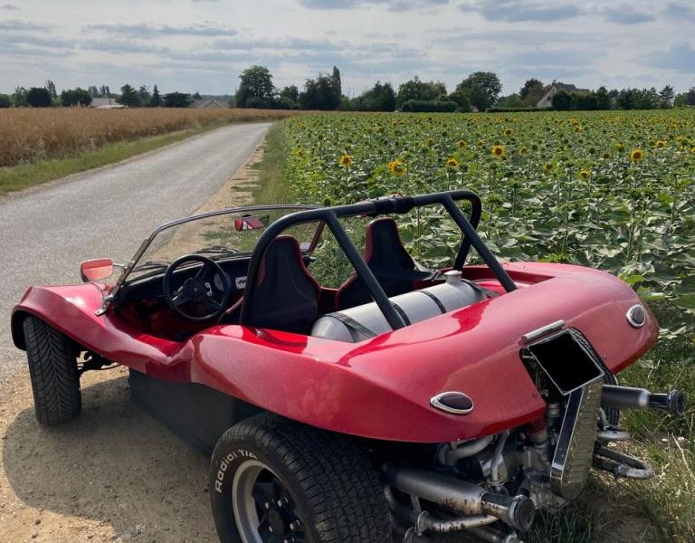 RENEGADE Buggy